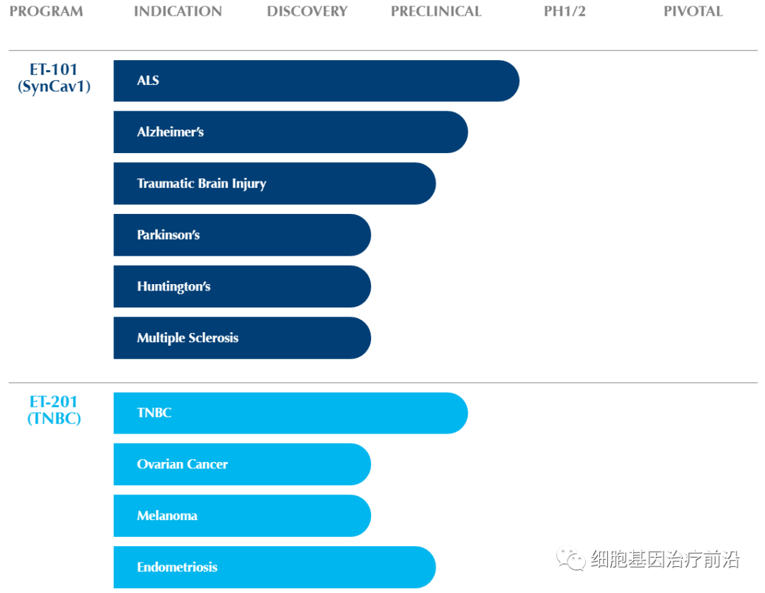 Eikonoklastes基因疗法获得孤儿药认定，有望治疗渐冻症