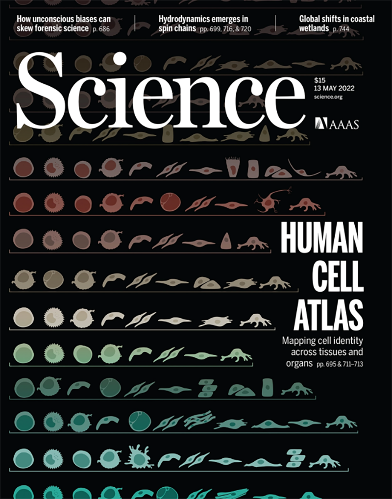 【Science重磅宣布】迄今为止，最周全的跨组织细胞图谱绘成